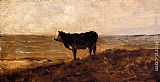 Charles-francois Daubigny Wall Art - The Lone Cow